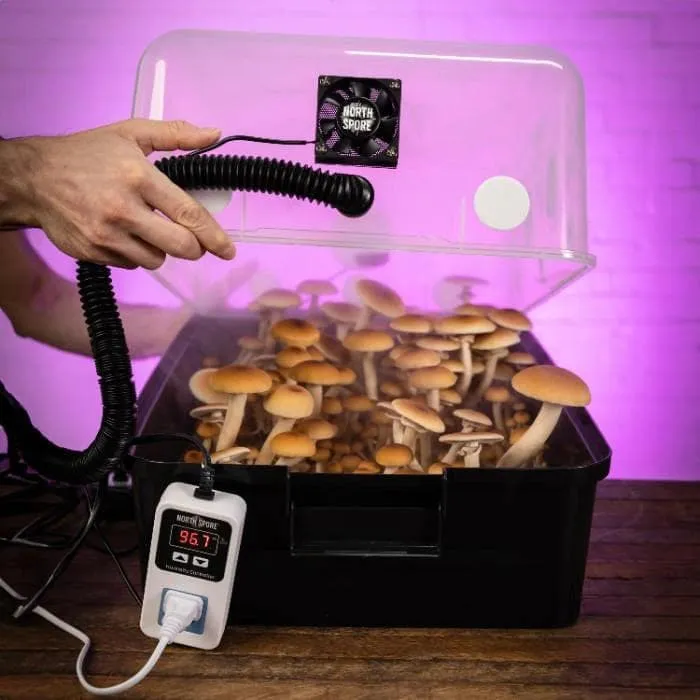 Automated 'Boomr Bin'   Wood-Loving Substrates Monotub Kit