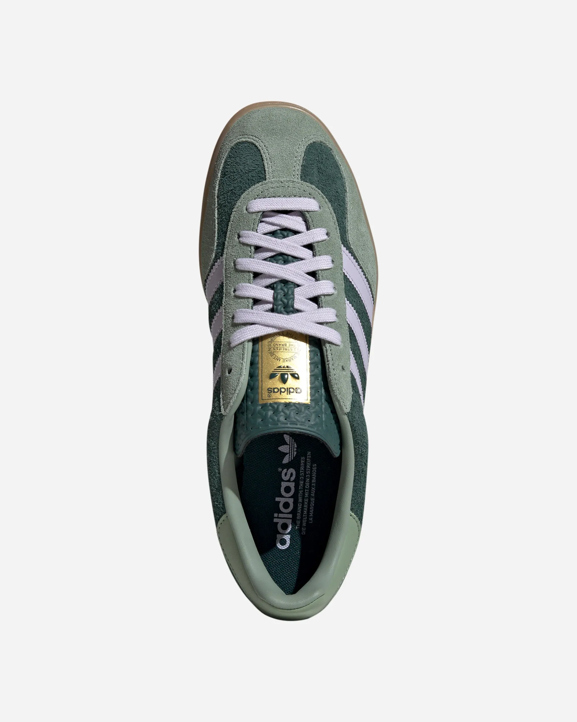 Gazelle Indoor